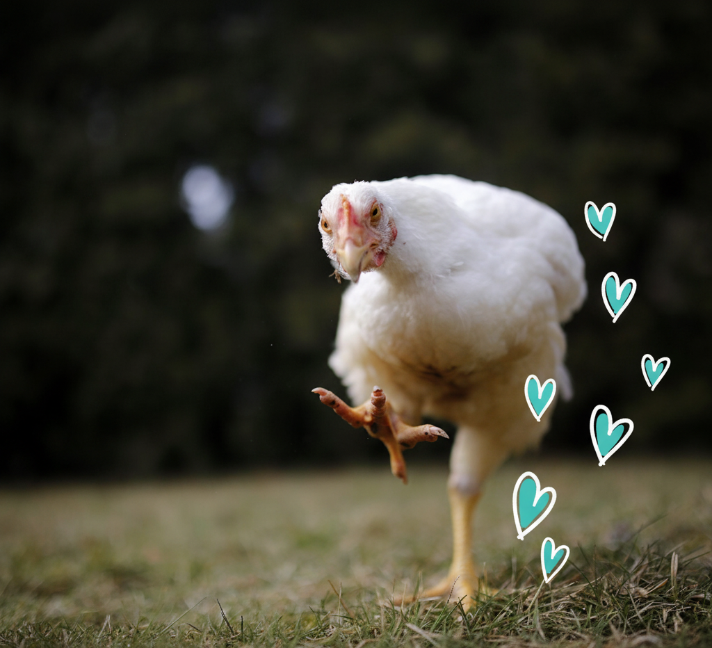 Thank you for confirming your email